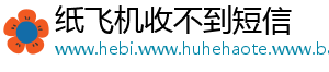 纸飞机收不到短信_分享热门信息
